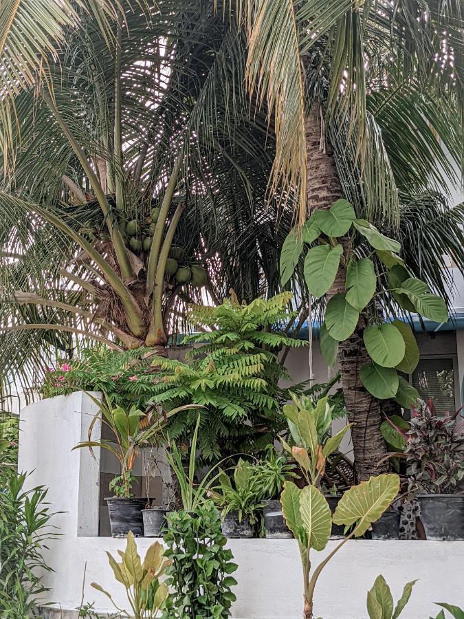 Hotel Dhoadhi Retreat Thulusdhoo Esterno foto