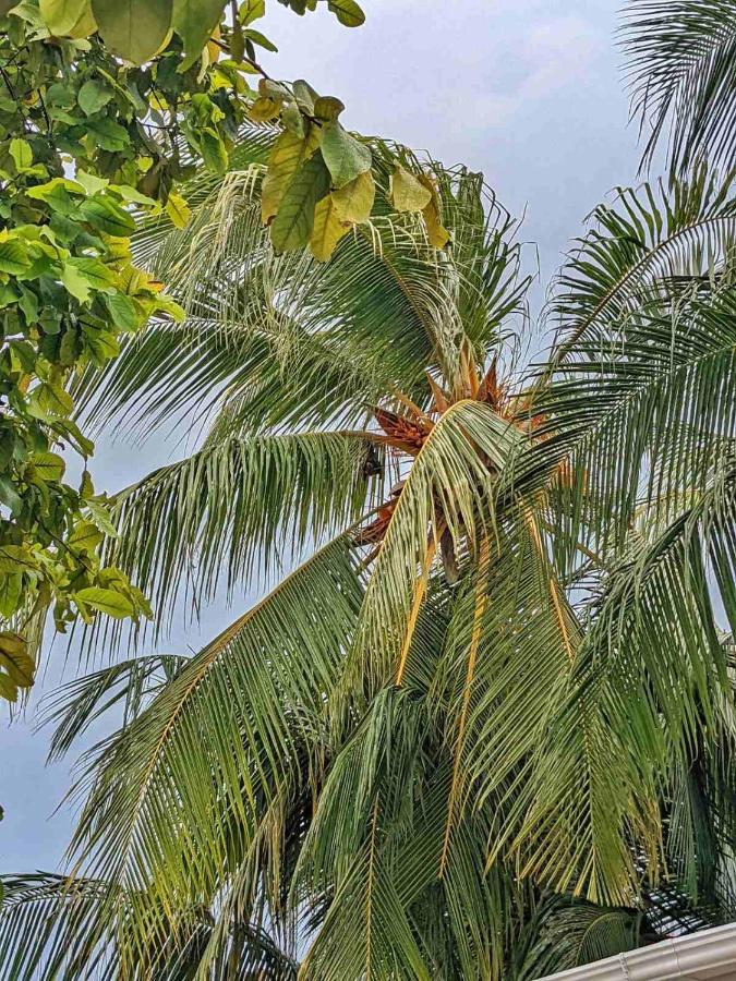 Hotel Dhoadhi Retreat Thulusdhoo Esterno foto